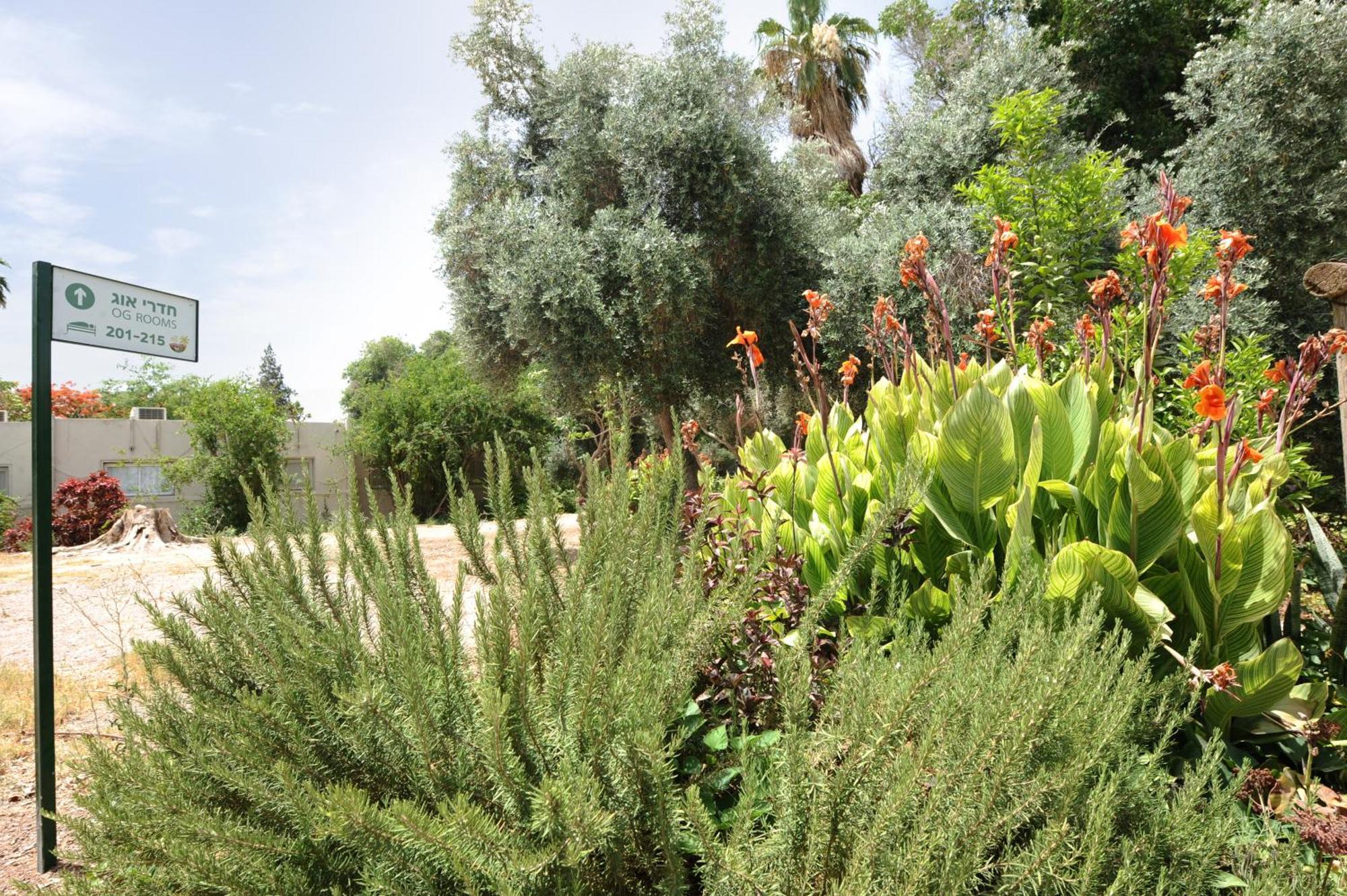 Almog Hotel Exterior foto