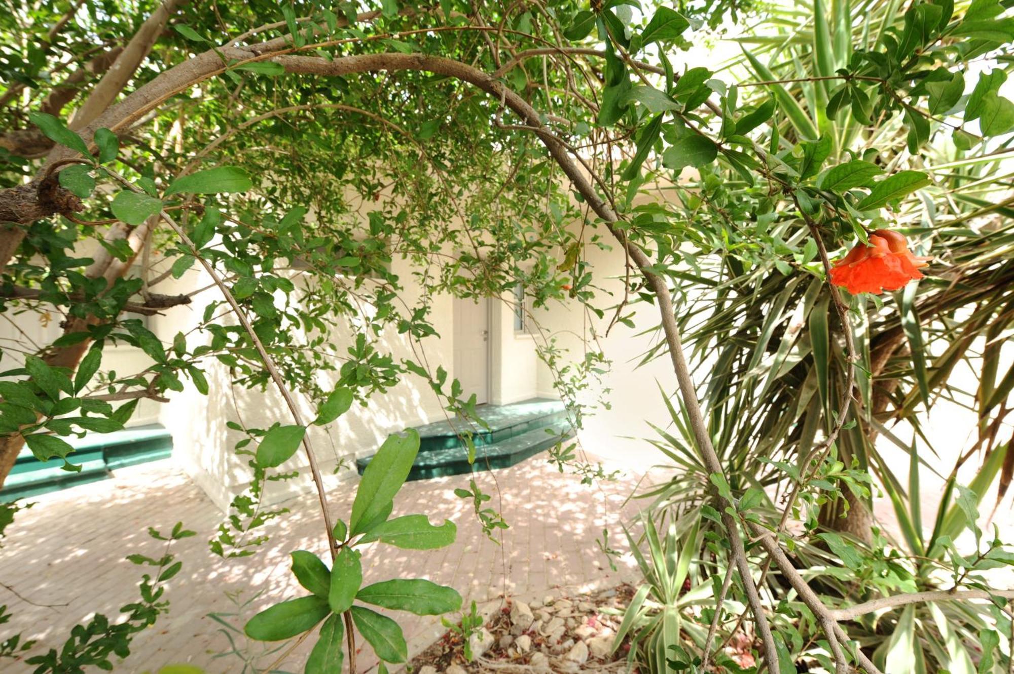 Almog Hotel Exterior foto